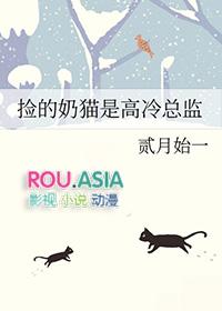 霸总捡到小奶猫是个受
