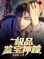 极品鉴宝师