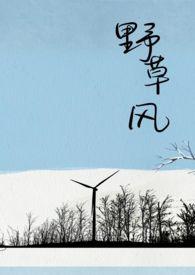 野草风全本TXT