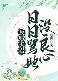 反贼夫君日日骂她没良心TXT全文阅读