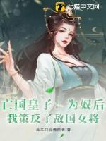 亡国皇子被敌国将军内啥