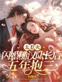 闪婚糙汉少将