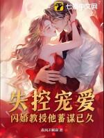 教授的闪婚结果如何
