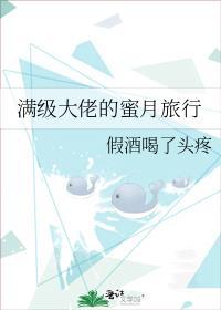 满级大佬的蜜月旅行免费