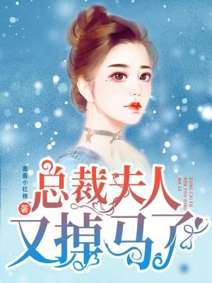 总裁夫人又跑了第二卷第一章