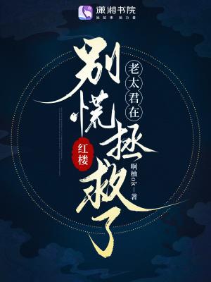 重生红楼老太君