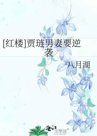 红楼贾琏男妻要逆袭