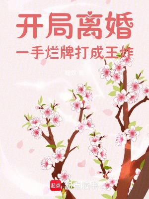 开局 离婚 艺术家