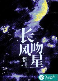 星越L长风版质量好吗