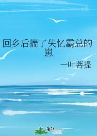 回乡后揣了失忆霸总的崽笔趣阁
