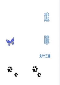 迷踪奸影(全)