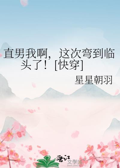 直男他弯了