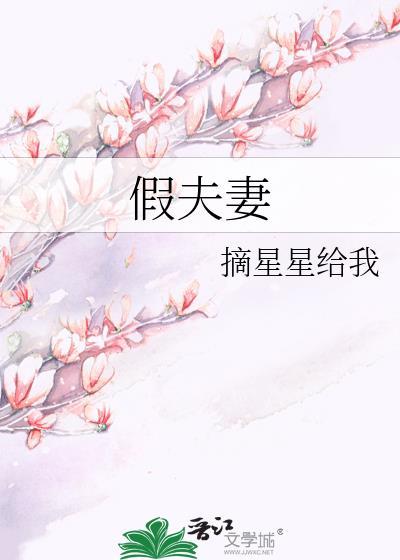 假夫妻摘星星