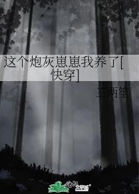 这个炮灰我罩了(快穿)无弹窗