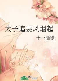太子追妻风烟起免费笔趣阁