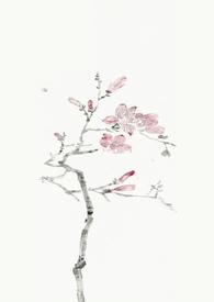 燕尔(古言1v1)尔容晋江