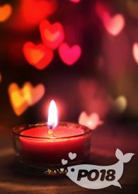折柳免费阅读