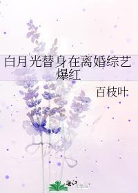 白月光替身全文免费阅读
