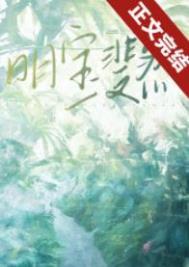 明宝斐然by三三娘晋江
