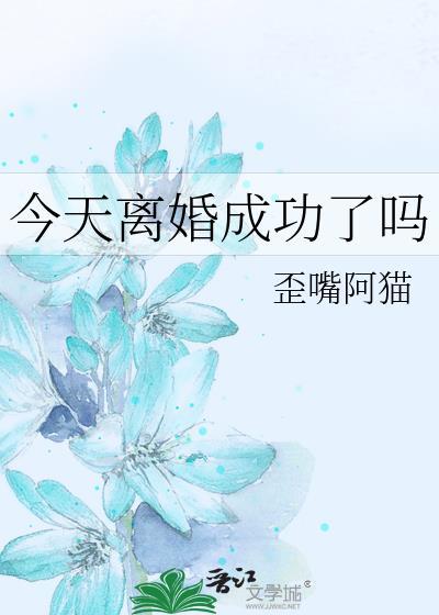 今天离婚成功了吗全文免费阅读