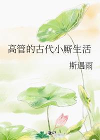 高管的古代小厮生活