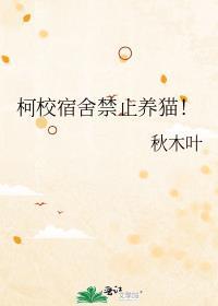 柯校宿舍禁止养猫！