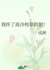 我怀了高冷校草的崽！