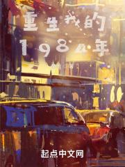 重生我的1984年
